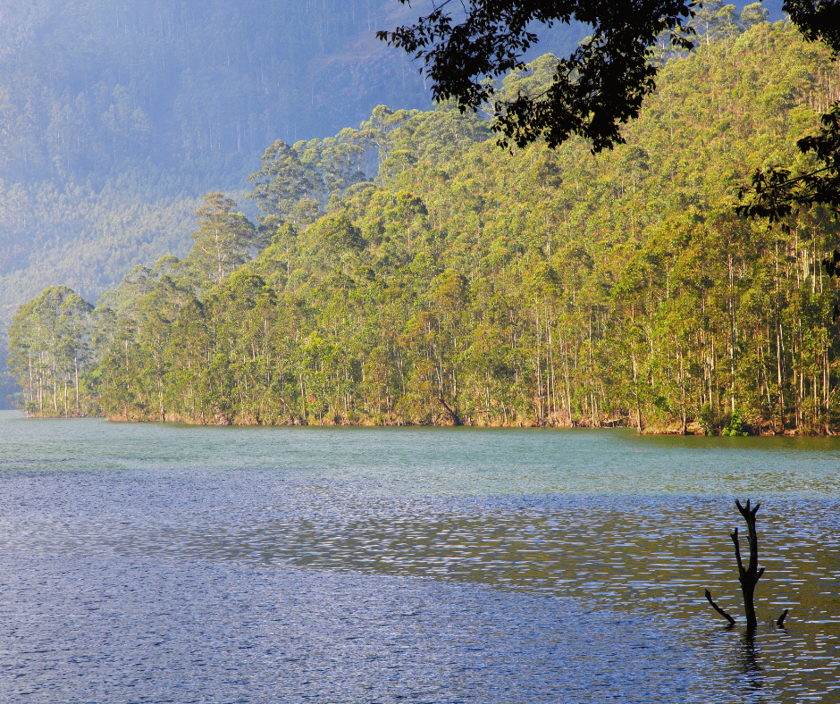 Mattupetty Dam